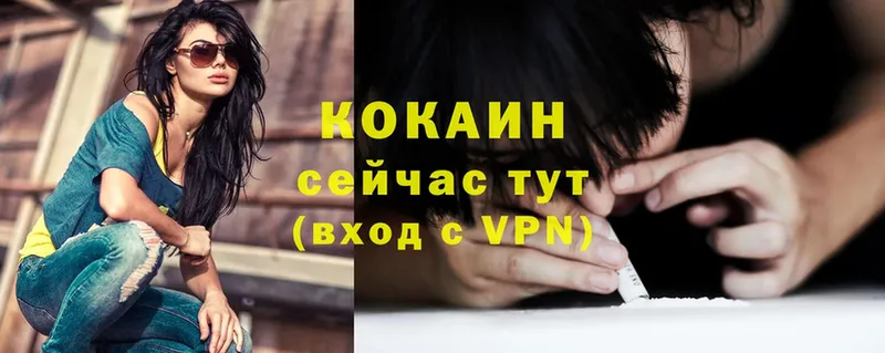 COCAIN VHQ Майкоп